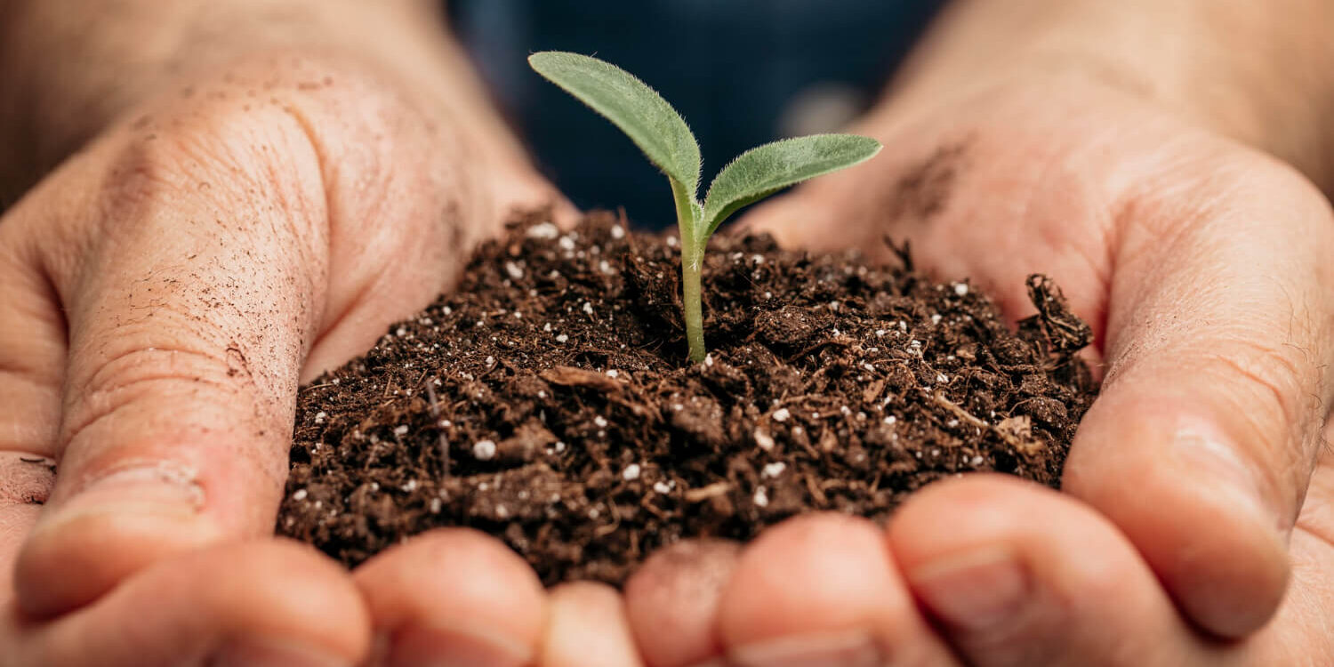 close-up-of-male-hands-holding-soil-and-little-plant