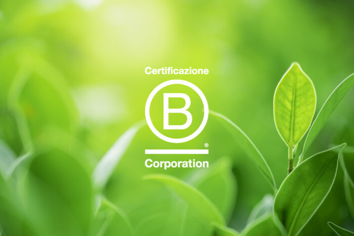 green-leaves-blurred-greenery-tree-background