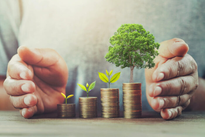 businessman-protection-money-on-table-with-tree (1)