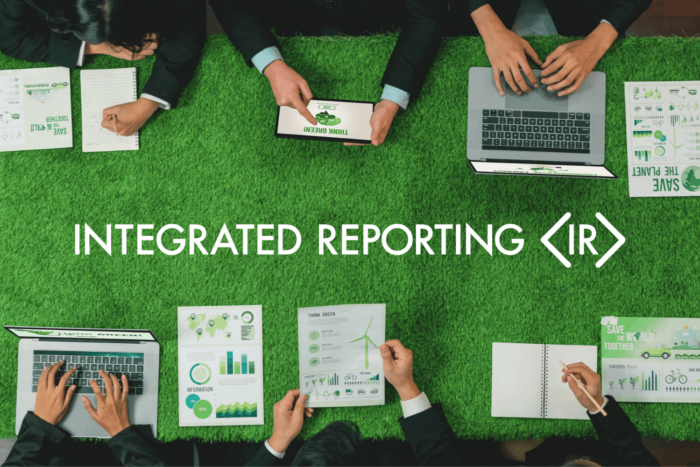L’Integrated Reporting Framework: Struttura, Capitali e Integrazione Normativa