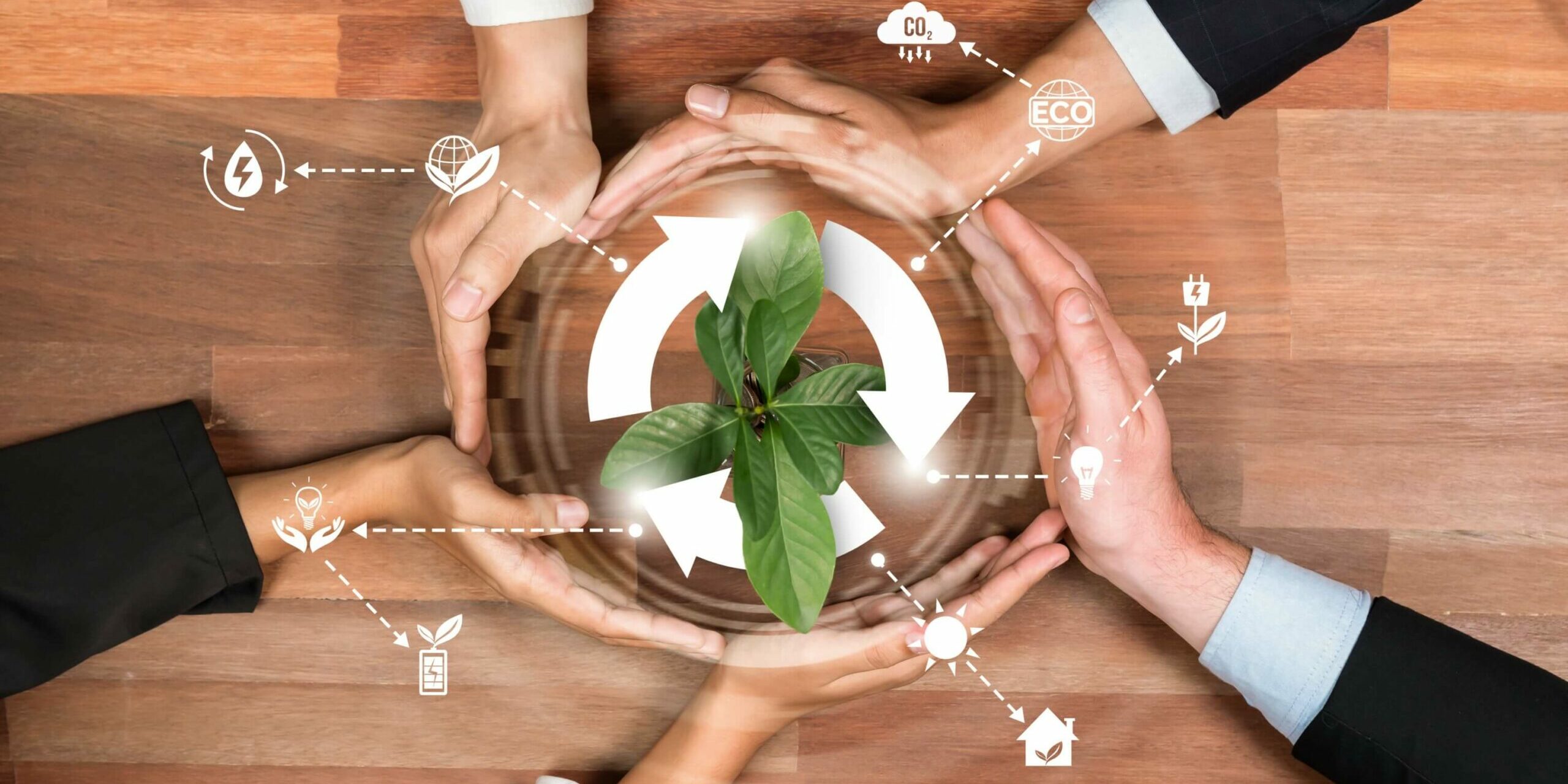 La Catena del Valore – Un’Analisi Essenziale per la Sostenibilità e la Strategia Aziendale