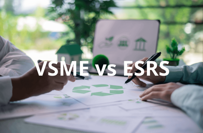 Standard VSME e correlazione con gli ESRS