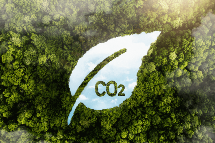 Carbon Footprint – quali sono le principali emissioni di CO2
