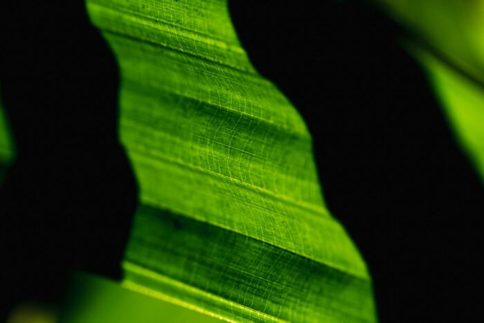 Nuove bozze degli standard ESRS